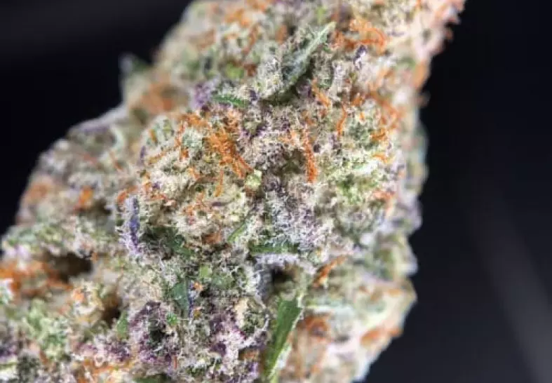 MAC Daddy Strain Review: Best for Unwinding at Night 2023