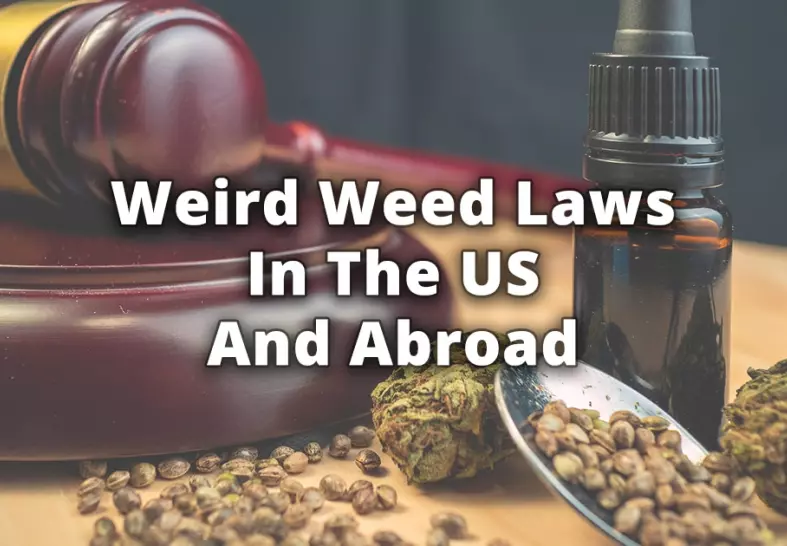 Weird Weed Laws In The US And Abroad
