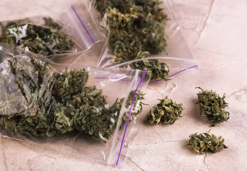 What Are The Best Smell Proof Bags For Weed?