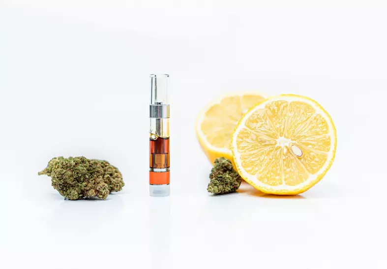 What Terpenes Are Best For Pain?
