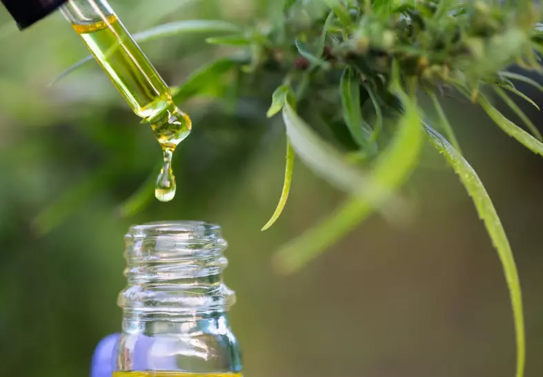 The Benefits of Cannabis Tinctures