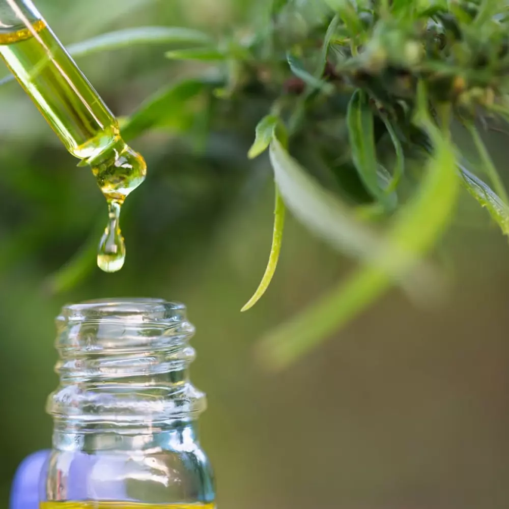 cannabis hemp oil tincture photo