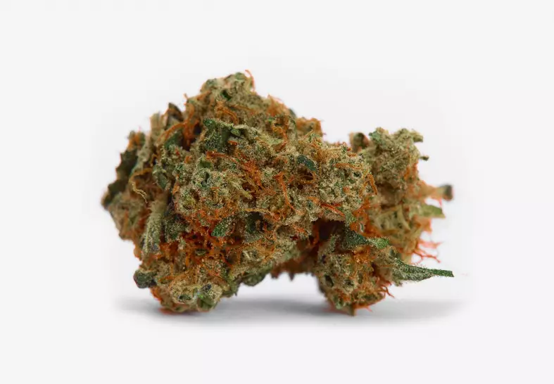 Strawberry Cough-MarijuanaSolutionCentre