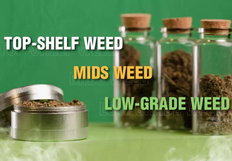top shelf mids low grade weed