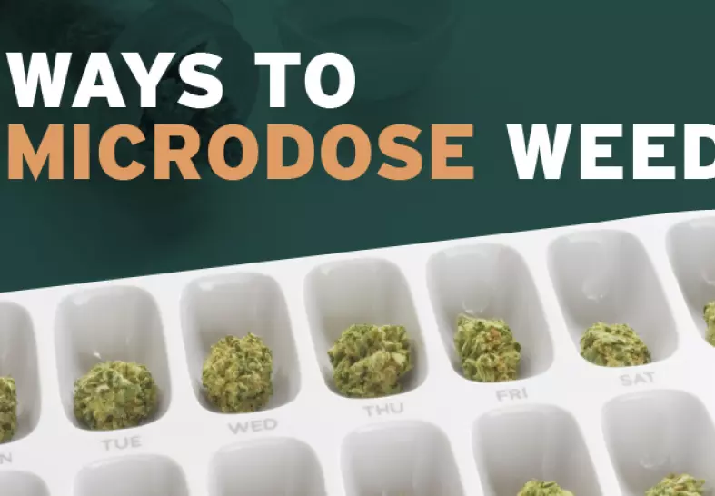 Guide to Microdosing Weed in 2022 - Getting up to Speed