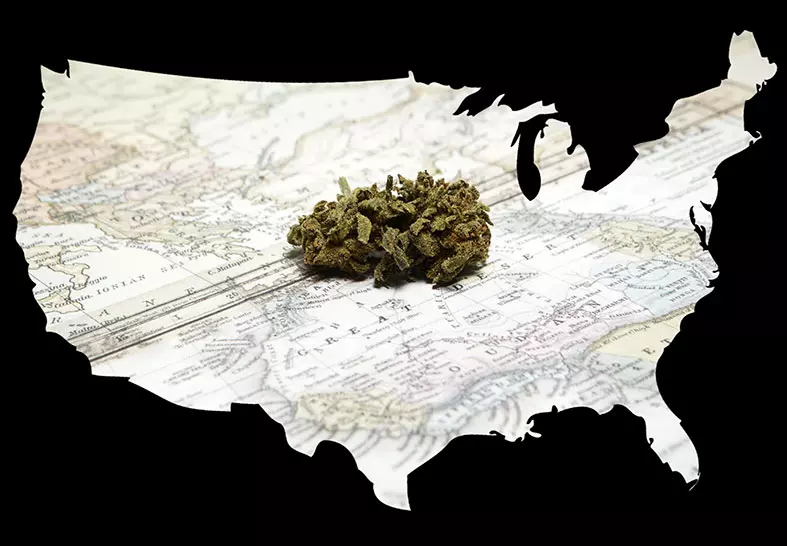 Federal Cannabis Legalization: Good or Bad?