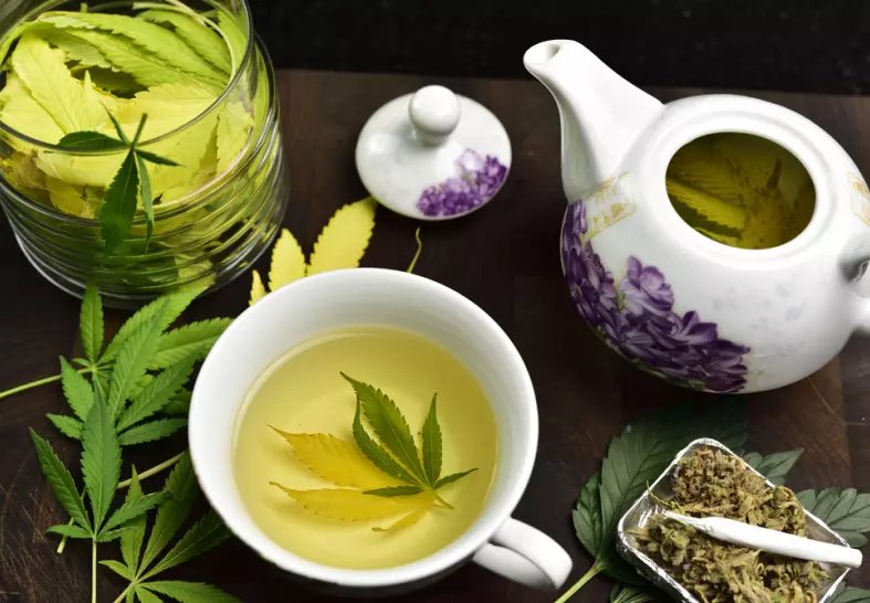 A Guide to Making Weed Tea - A Healthy Alternative to Smoking Cannabis