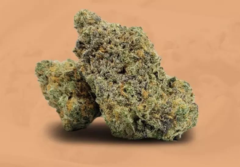 The Best Strains of Weed