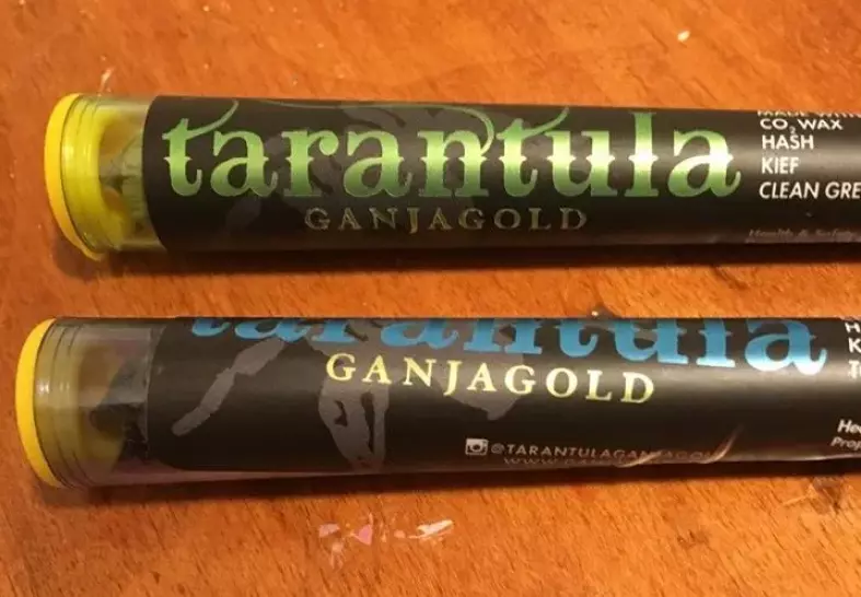 NOW AVAILABLE- Tarantulas from Canamelo