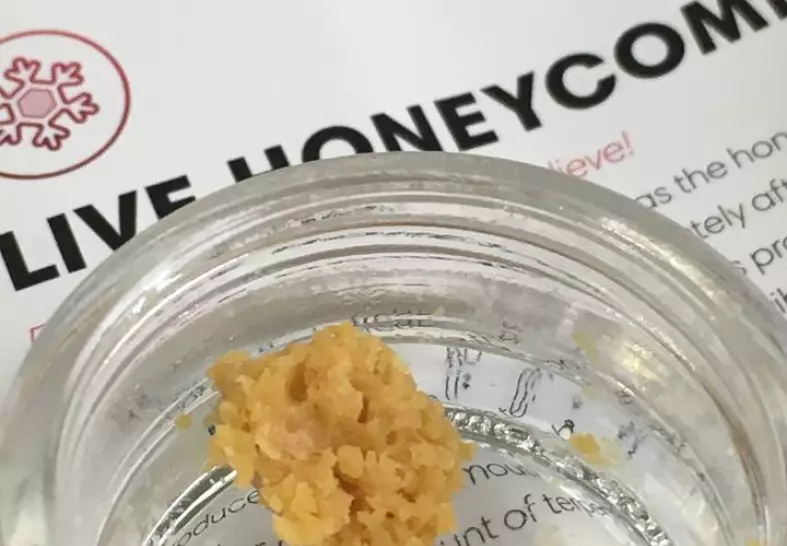 Cannavative Live Honeycomb