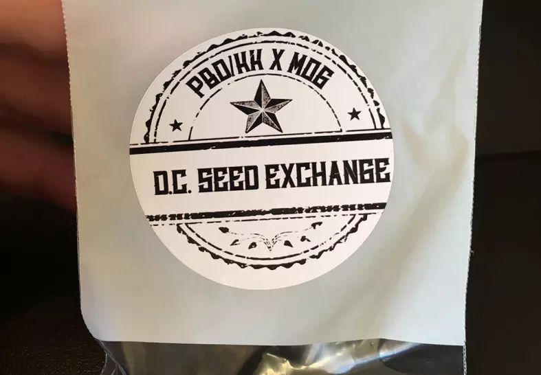 DC Seed Exchange (INTERVIEW)