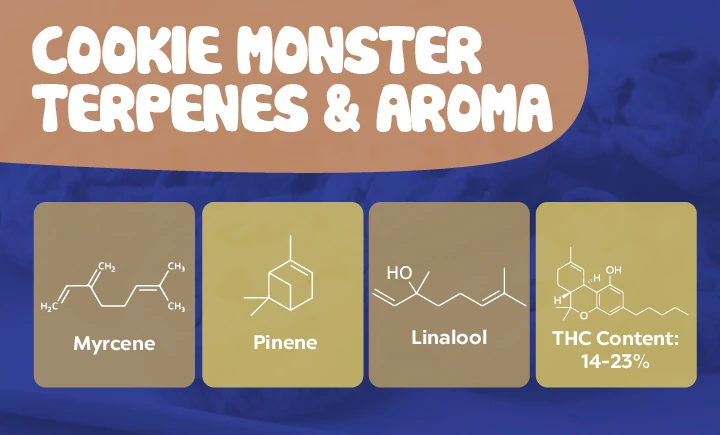 cookie monster terpenes and aroma