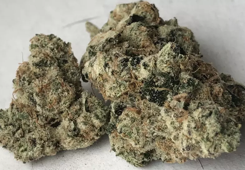 Miracle Animal Cookies (Baked DC)