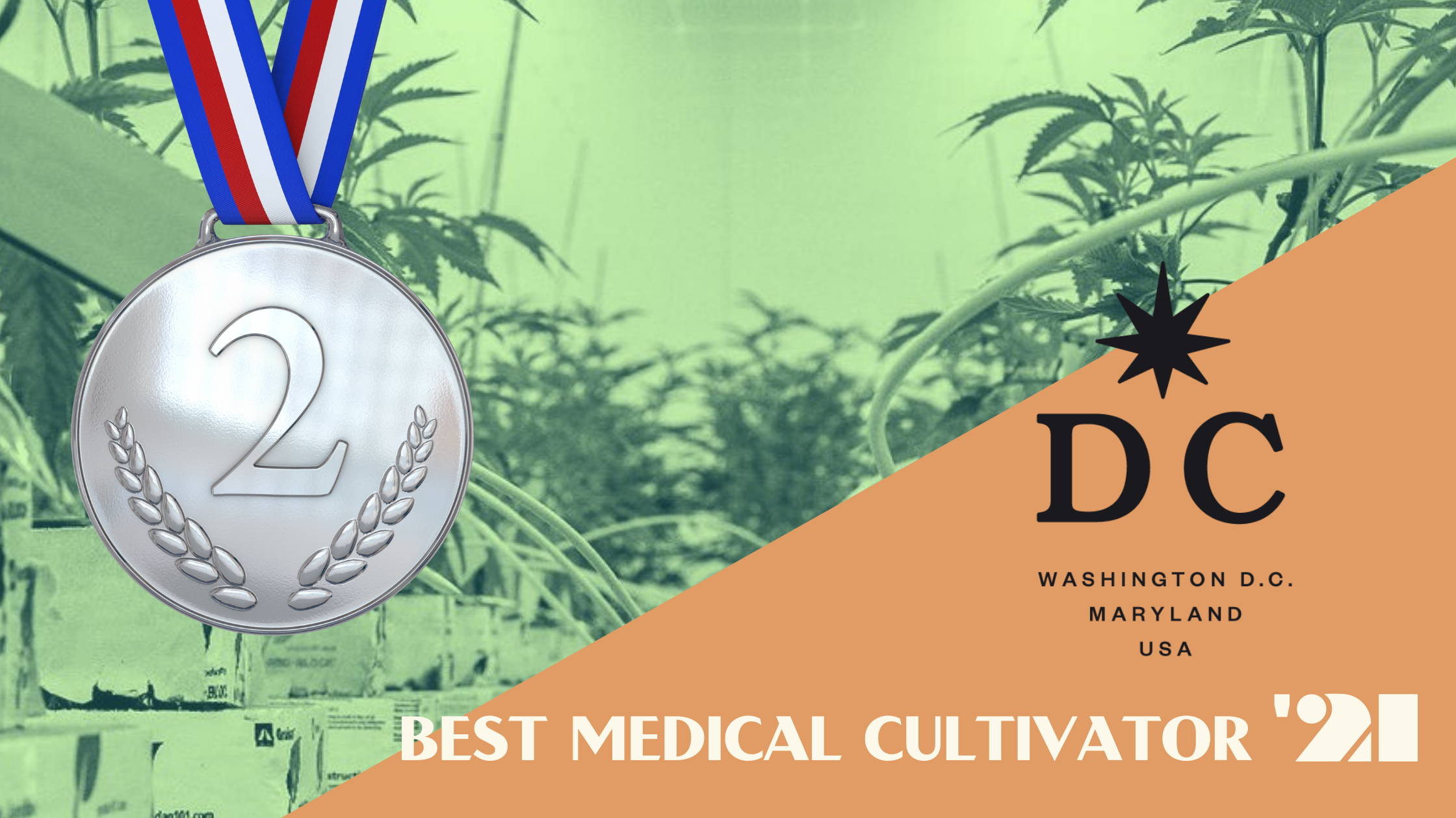 Best Medical Cultivator district cannabis