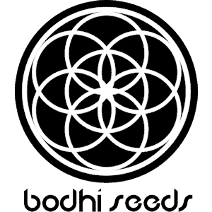 bodhi seeds logo