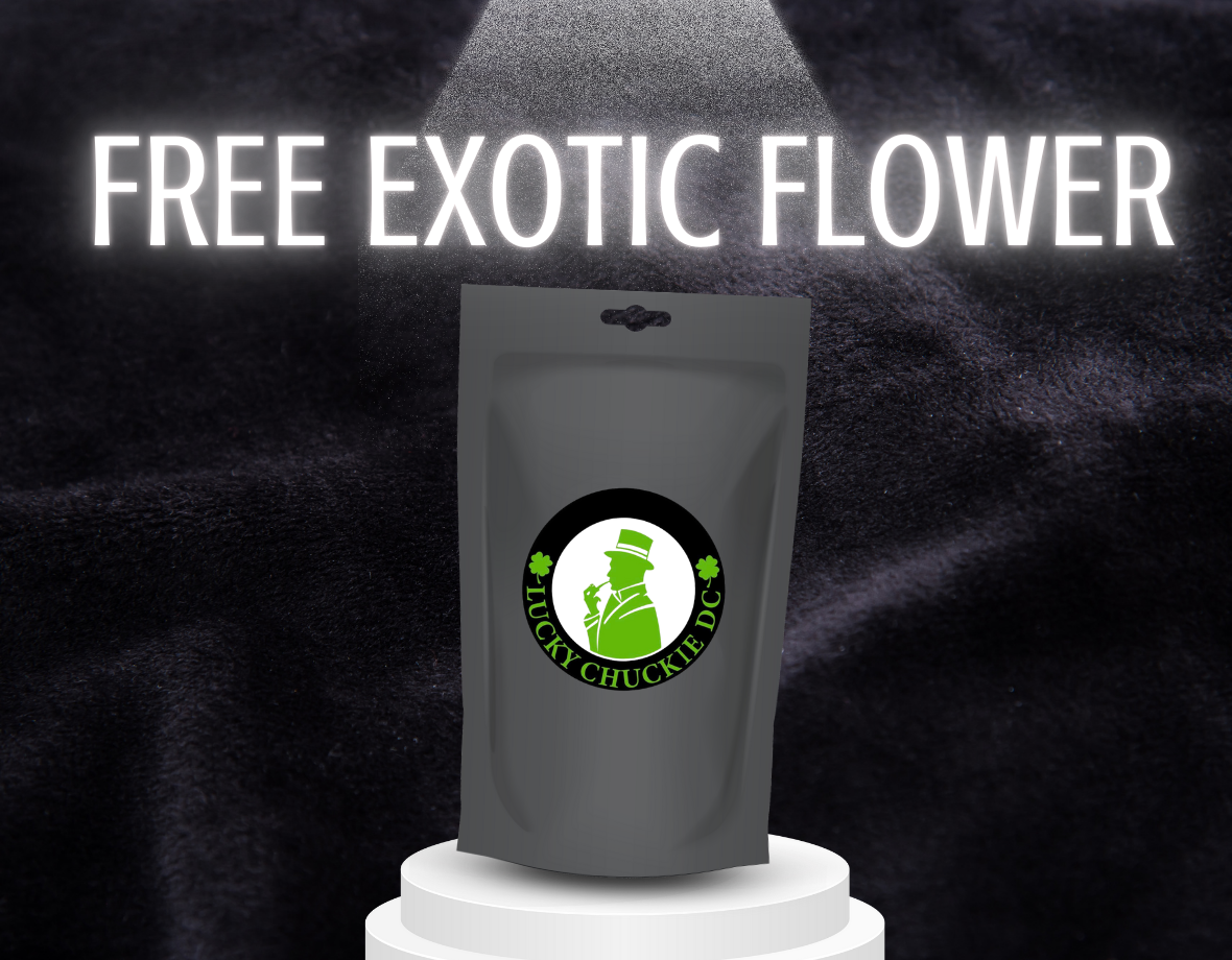 Free Exotic Flower