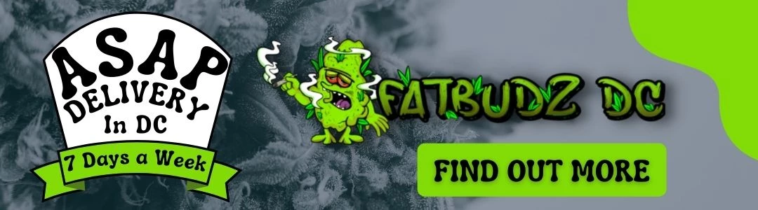 fatbudz DC recreational dispensaries