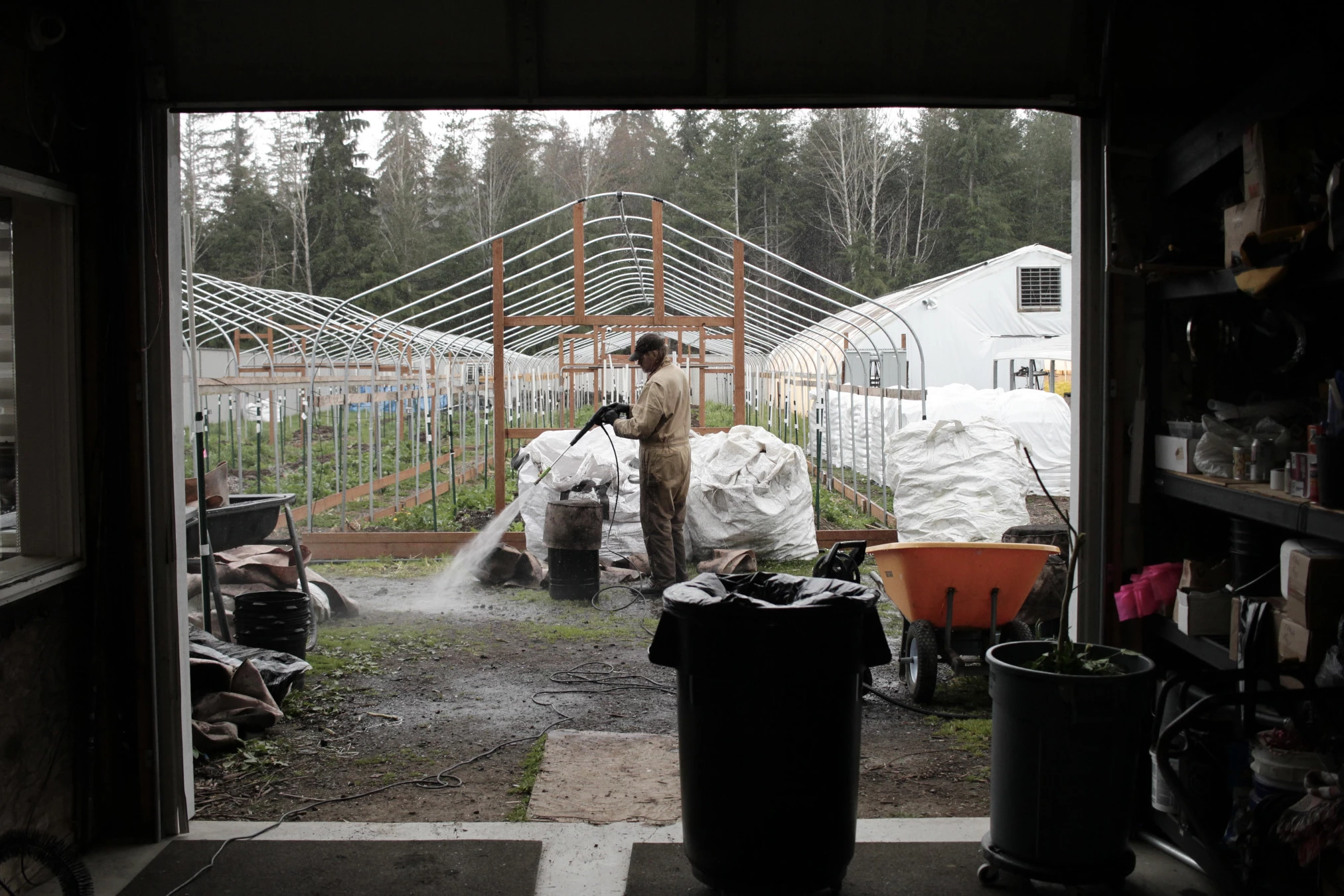 craft cannabis greenhouses photo pacific nw roots