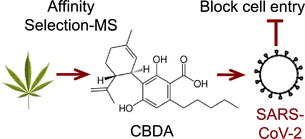 cbda chemical compound chart