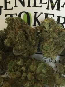 Critical Kush from Apelles