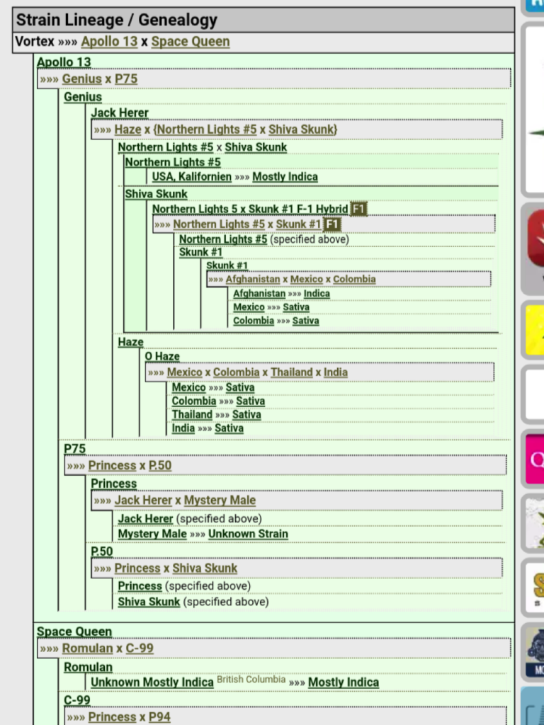 Bodhi High Vortex Terp Sugar strain lineage genealogy