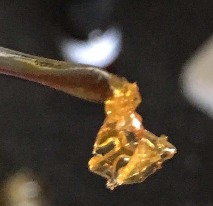 Golden State Labs Terp