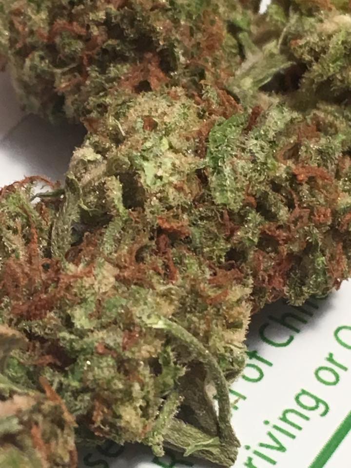 Bubblegum cannabis Flowers