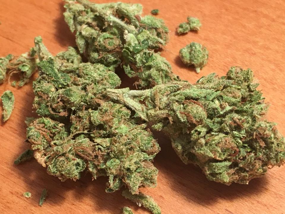 natty bho cannabis nugs
