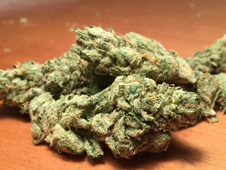 Platinum Gelato flower marijuana
