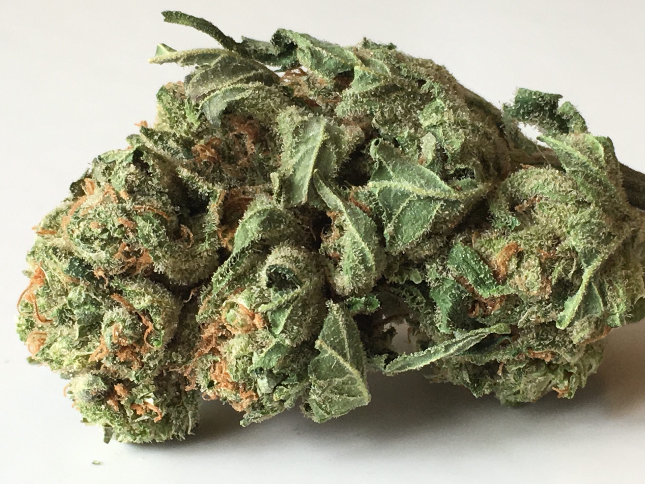 Durban Poison cannabis flower