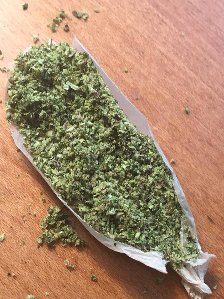 cannabis pre-roll opened