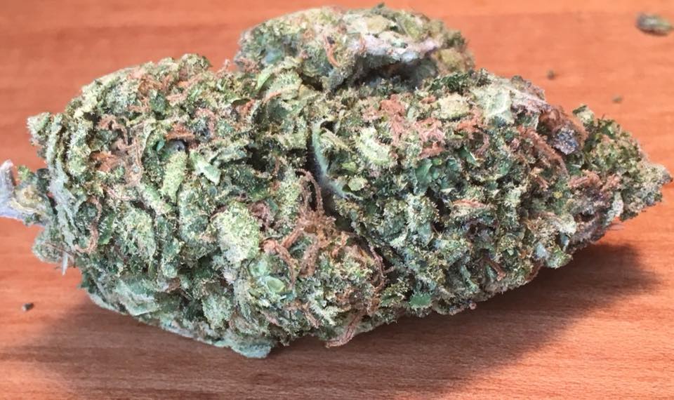 orange cookies cannabis