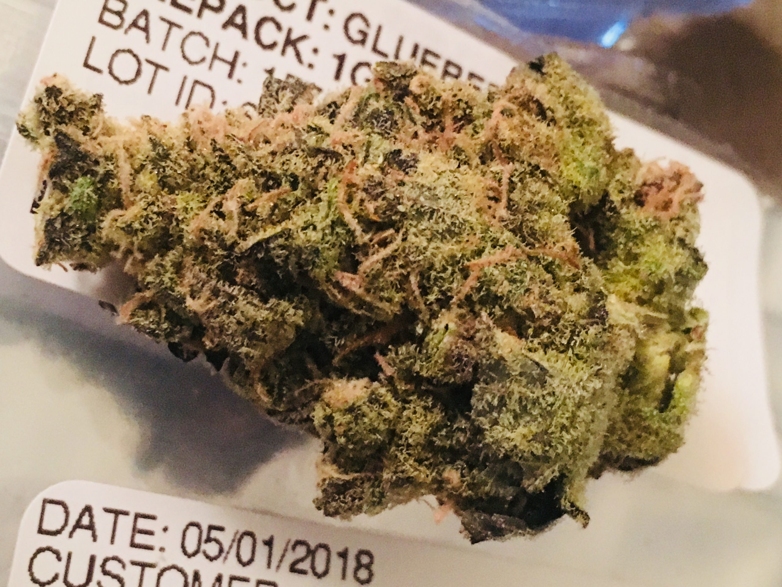 Glueberry cannabis