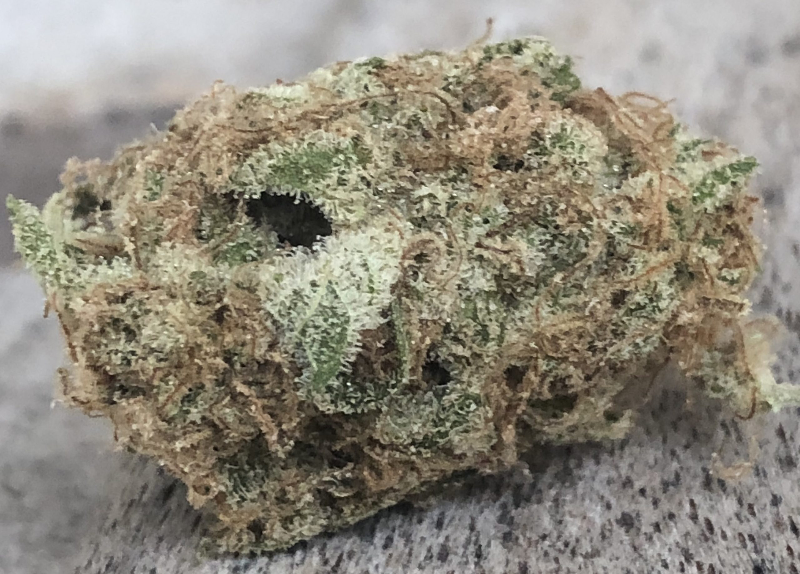 marijuana close up shot