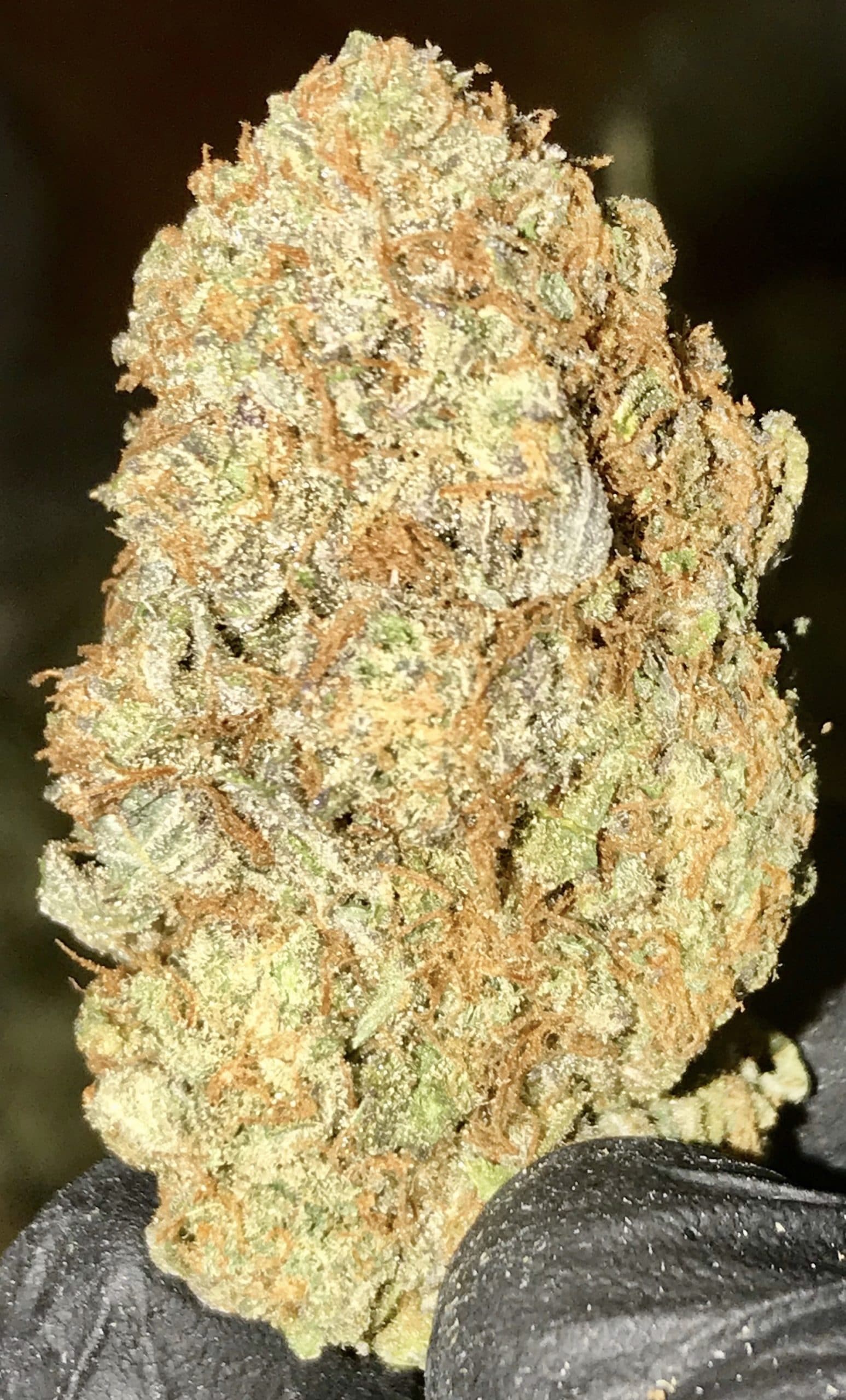 Platinum Bubba weed!