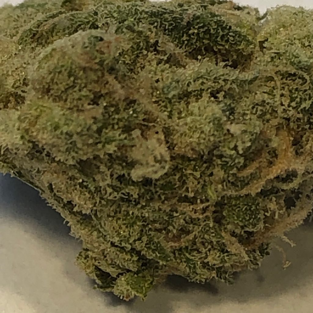 Sour Blue Nebula DC weed