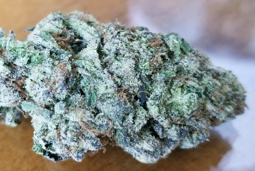 Purple Punch weed