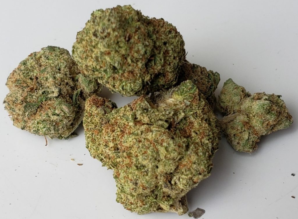 Cookies and Cream Bagged Buds DC weed photography