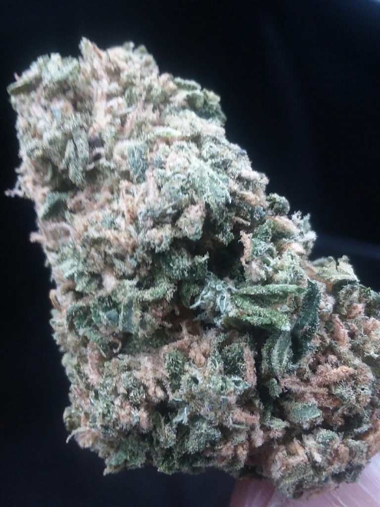 Agent Orange Select Co-Op DC weed photography