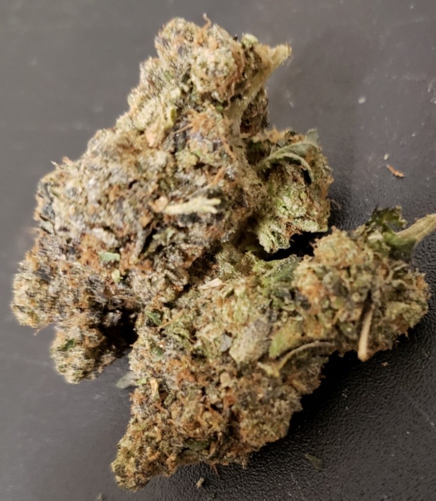 purple animal cookies marijuana flowers dc weed photography