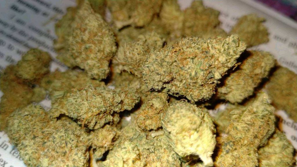 Orange Blossom Cookies Pinnacle Product dc weed photography