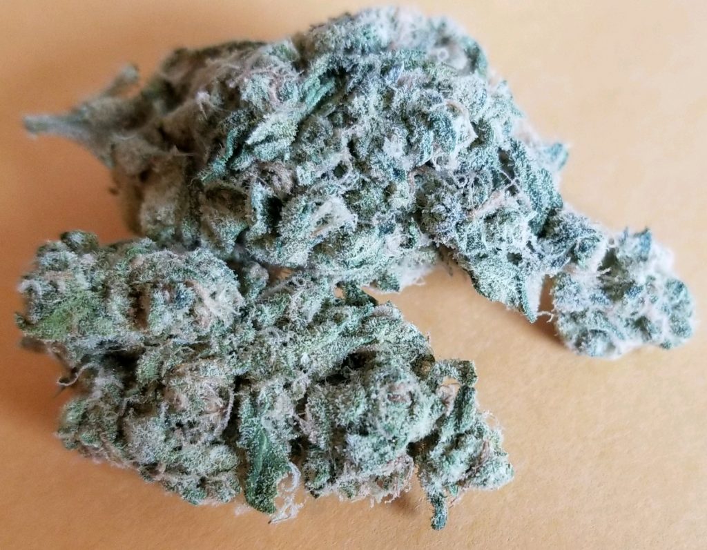 Super Blue Nebula Spaced Out DC weed photography
