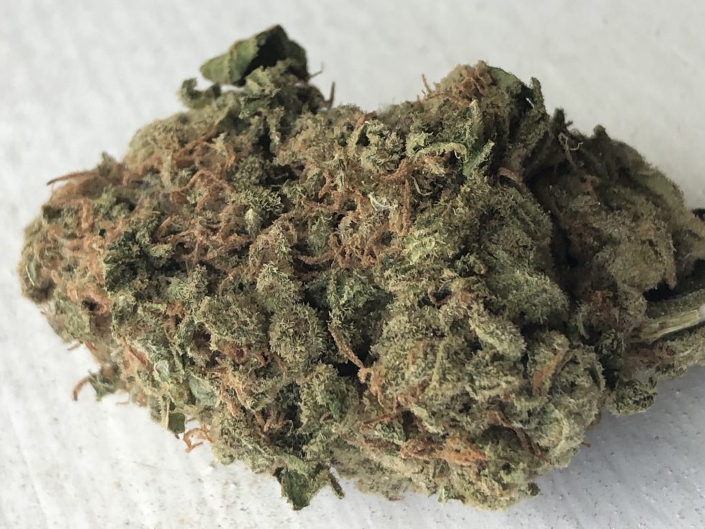 Bruce Banner dc cloud 9 weed photography