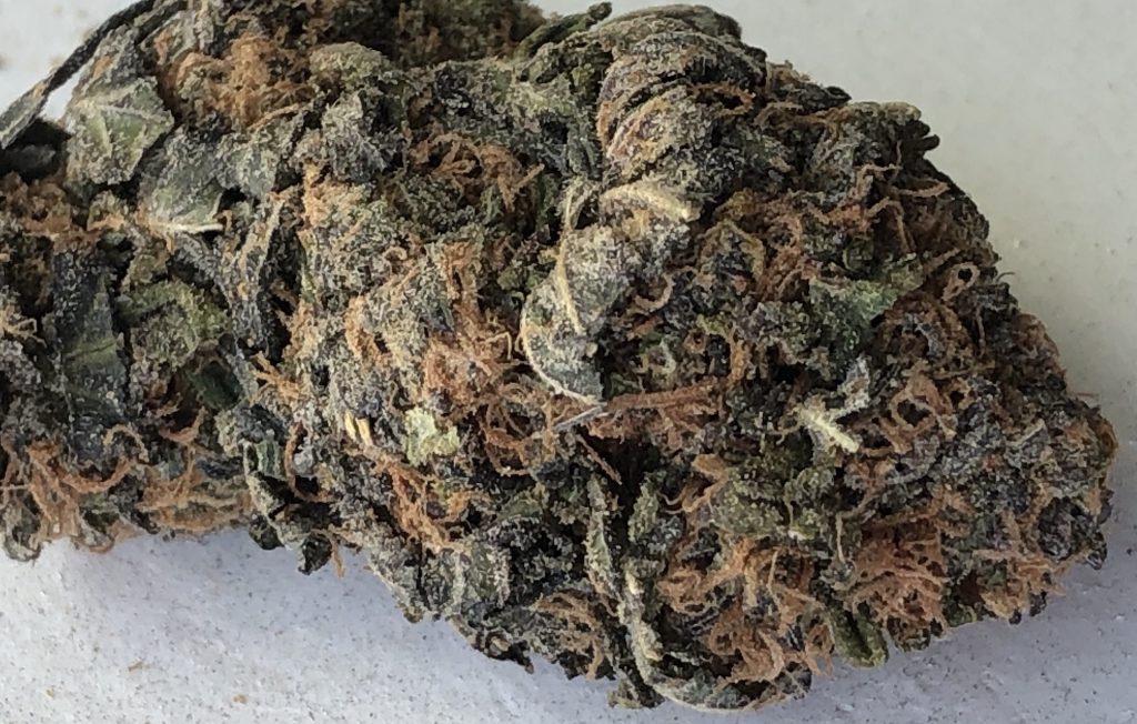 Purple Punch dc marijuana weed photography