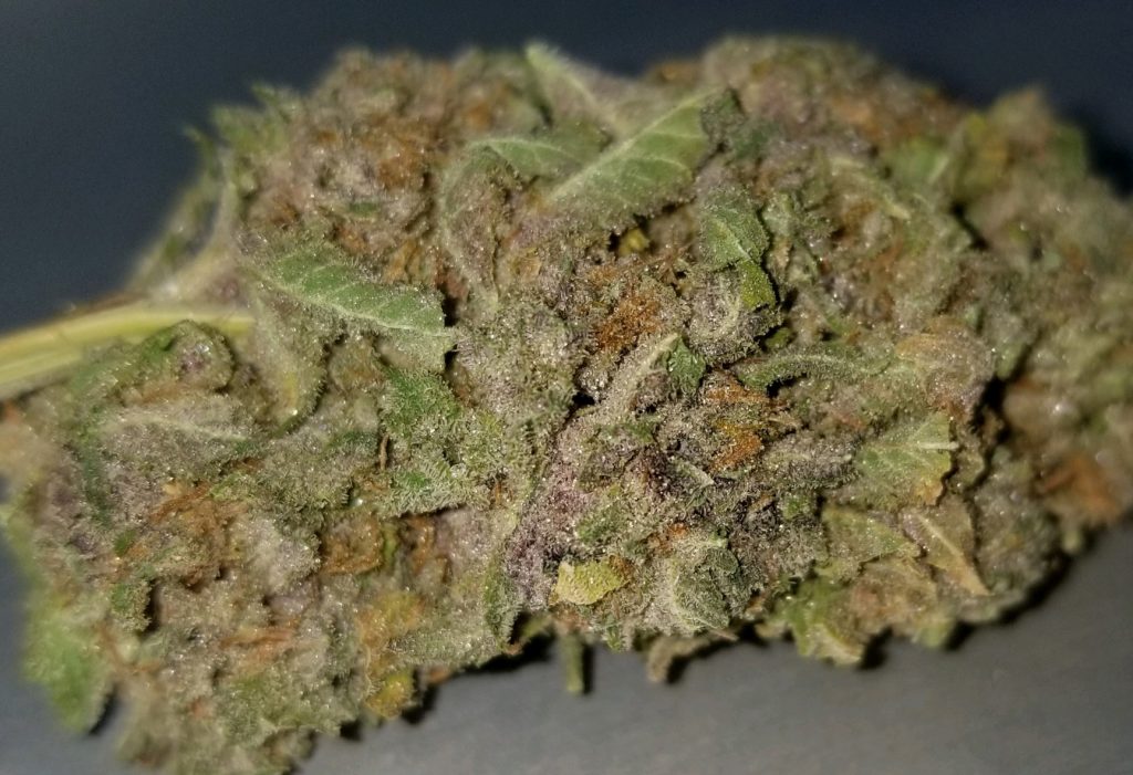 pink lemonade dc spaced out weed photography