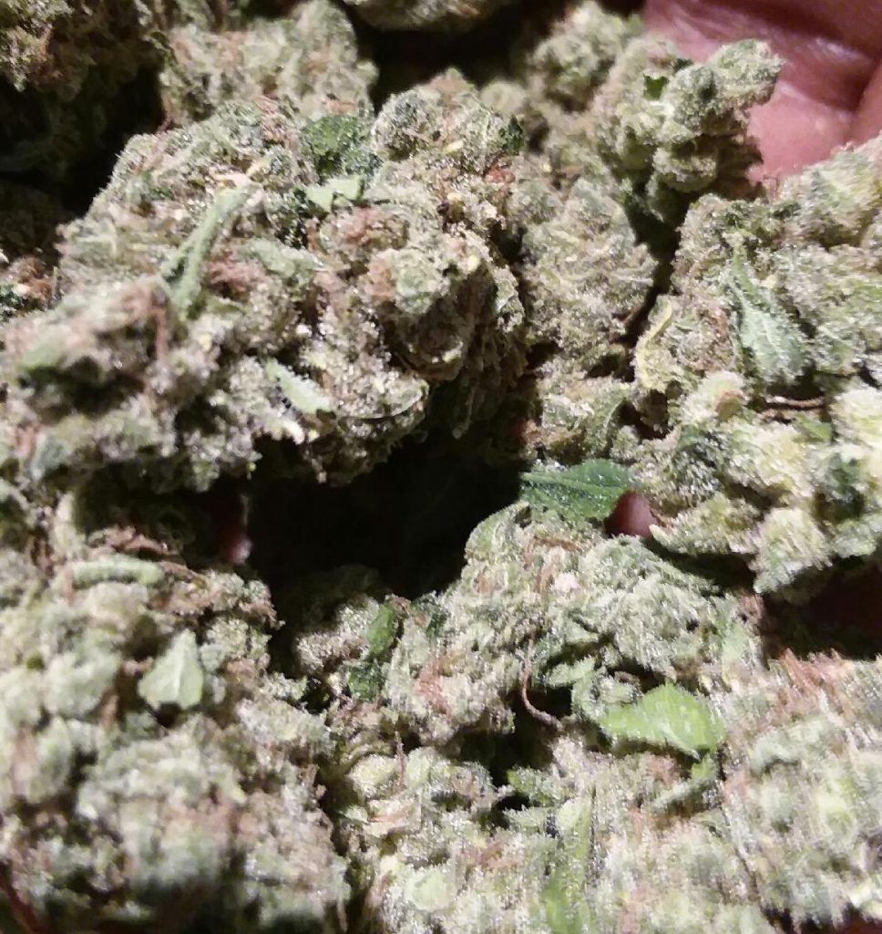 sticky haze dc select co op weed photography