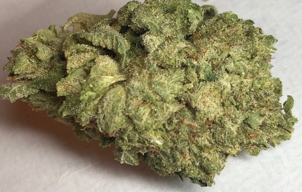 la confidential dc capitol buds delivery weed photography