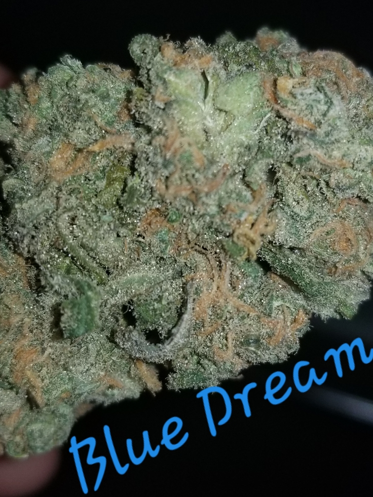 blue dream dc creative paths weed photography