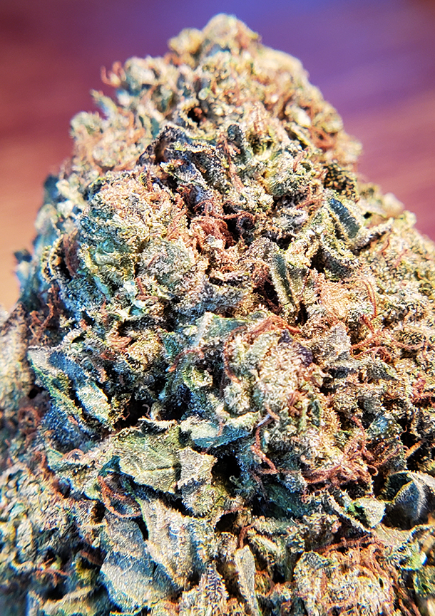 blue sherbet dc street lawyer services weed photography