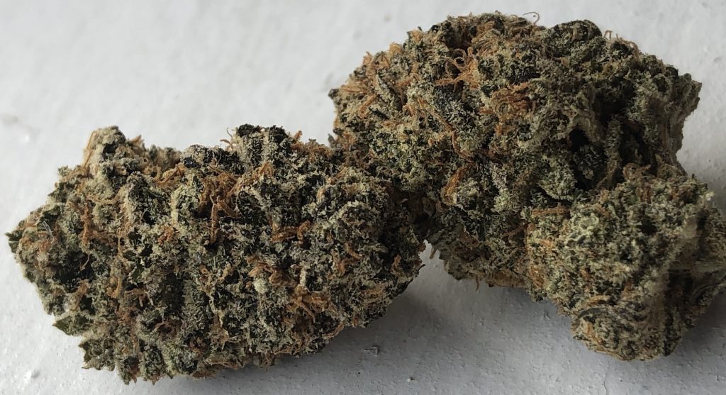 baked dc blueberry pie weed photo